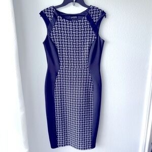 Enfocus Studio Blue and White Sheath Midi Dress